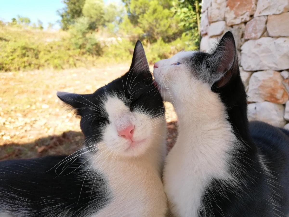 Tramonti D'Itria Βίλα Ostuni Εξωτερικό φωτογραφία